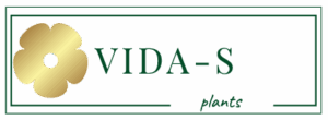 vidaspl-01